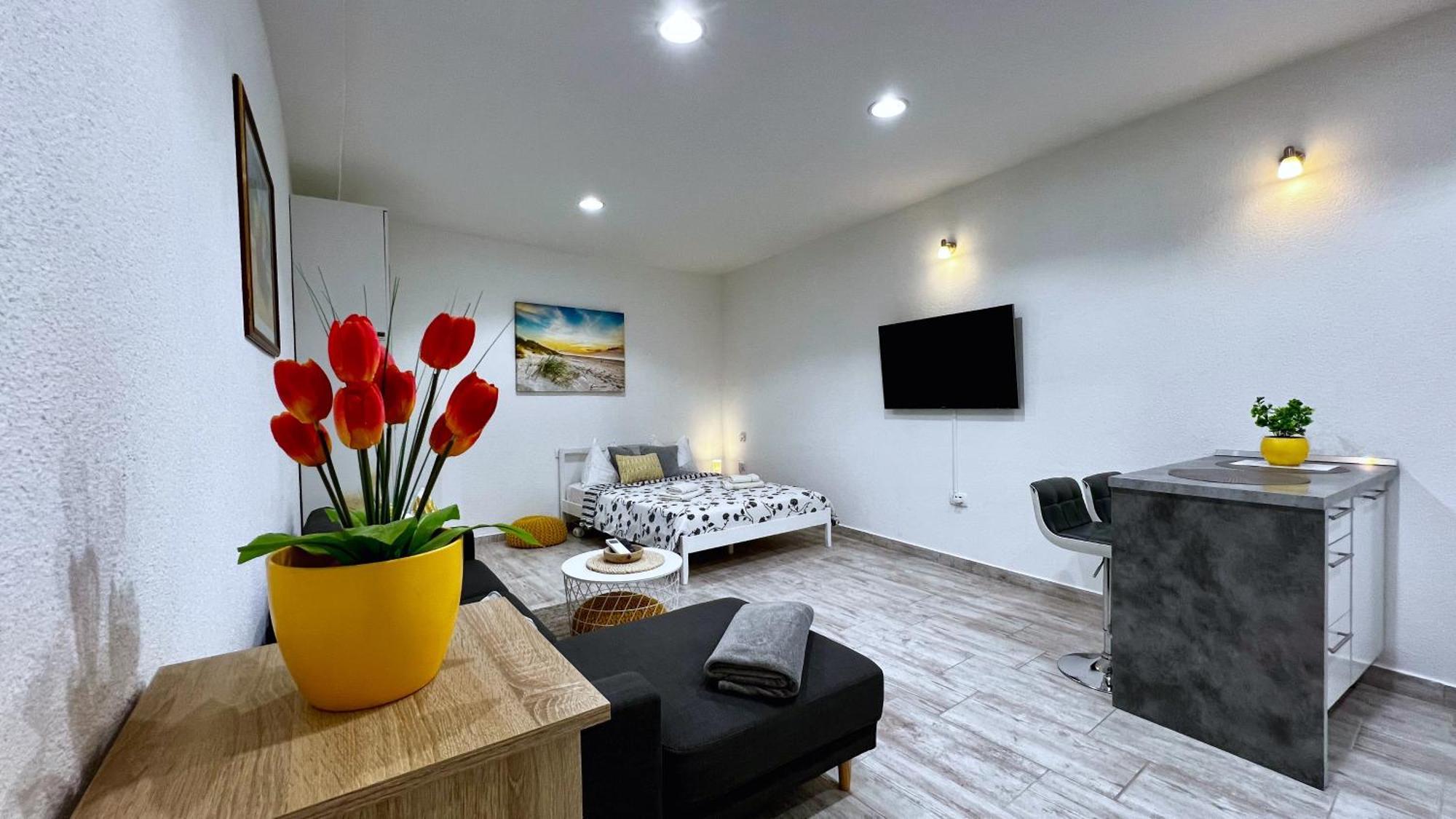 Studio De Mare Rovinj Kültér fotó